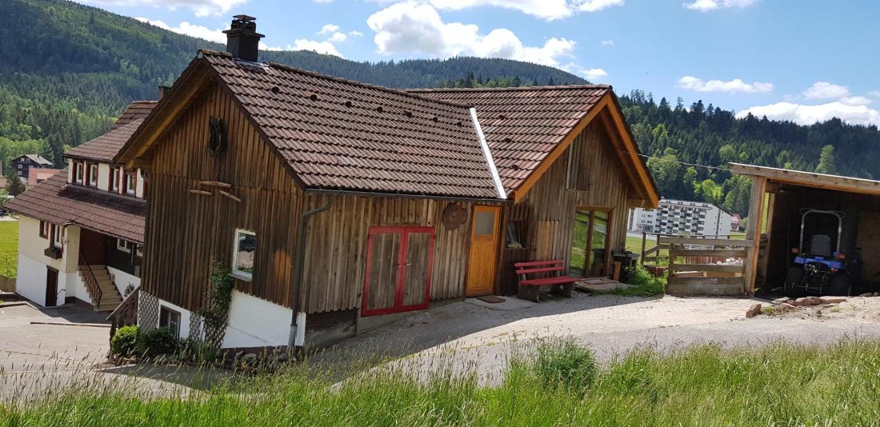 Ferienhof Ziegler- Sonnenschein Baiersbronn Dış mekan fotoğraf