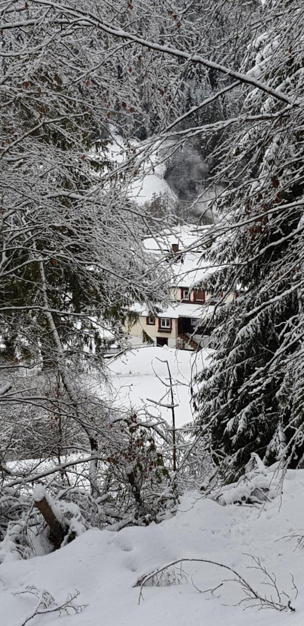 Ferienhof Ziegler- Sonnenschein Baiersbronn Dış mekan fotoğraf